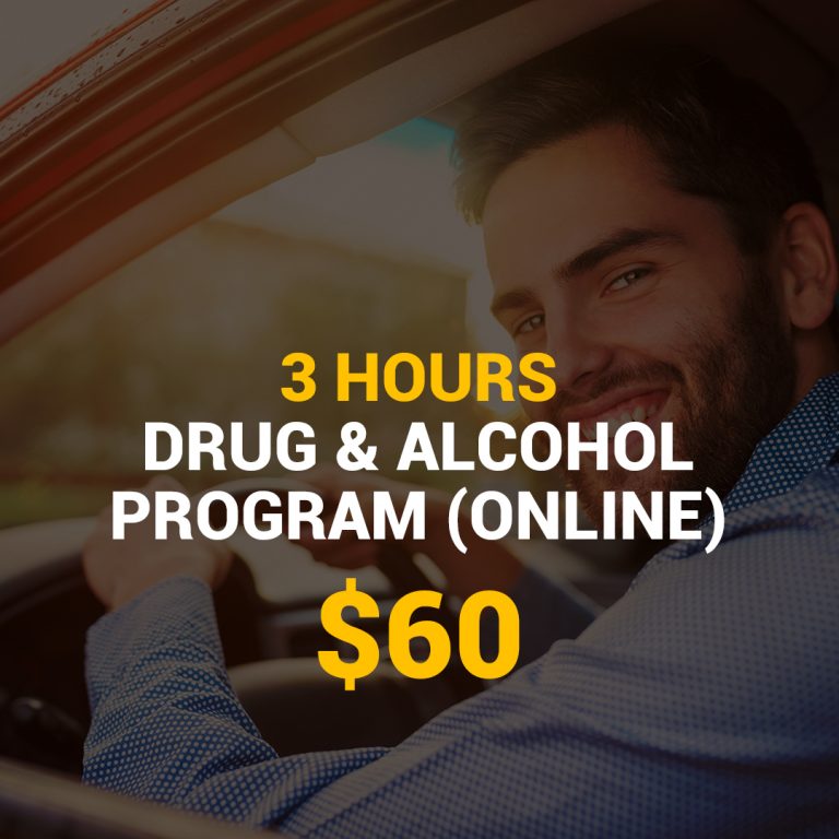 Online Drug & Alcohol Program StarLinx Driving School